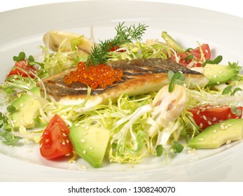 Sea Wolf - Fish Fillet With Salad