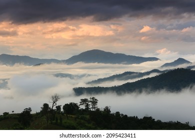 Sea of ​​mist at Yun Lai Viewpoint.
				Yun Lai Viewpoint is arguably the best sunrise viewpoint in Pai, Mae Hong Son,Thailand
