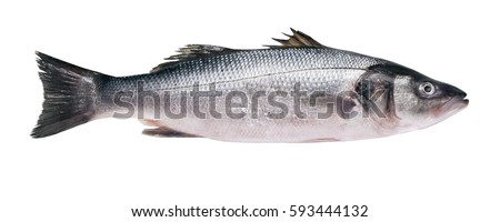 Seabass carcass isolated on white background
