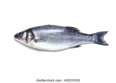 3,653 Fish specimen Images, Stock Photos & Vectors | Shutterstock