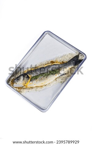 seabass in high resolution images and isolated with blurry ends