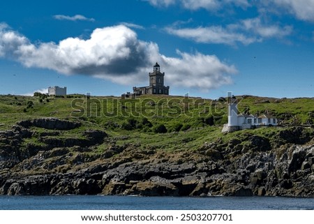 Seabird Nature Reserve Isle Of May In The Firth Of Forth In The Atlantic Ocean Near Anstruther In Scotland