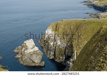 A seabird-covered sea stack off the cliffs of Sumburgh Head, an RSPB nature reserve at the southern tip of Shetland.