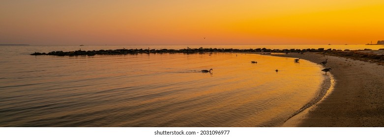 Seabirds Sanctuary In The Circular Cove At Sunrise On Cape Cod