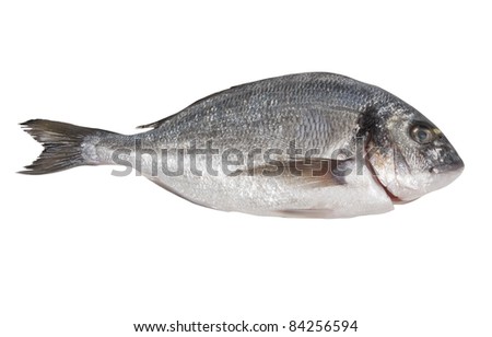 Seabream isolated on white