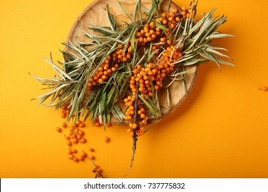 Seabuckthorn On Yellow Background