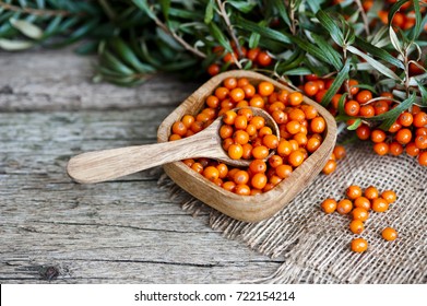 Sea-buckthorn, Sea Buckthorn Oil