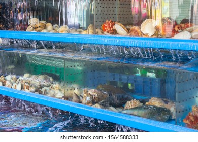 Seafood Tank Images, Stock Photos & Vectors - Shutterstock