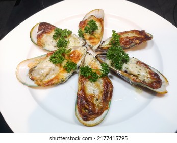 Seafood. Baked New Zealand Mussels with Cheese on white background