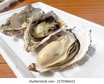 Seafood barbecue grilled open fresh oysters