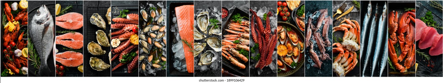 Meeresfrüchte. Große Fotocollage: Fisch, Garnelen, Muscheln und Hummer auf schwarzem Hintergrund. Banner.