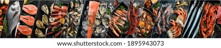 Seafood. Big photo collage: fish, shrimp, shells and lobsters on a black stone background. Banner.