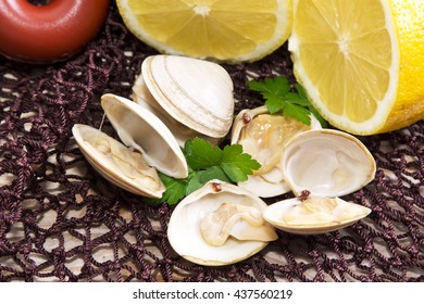 seafood, clams on fishing net