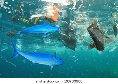 Seafood Contamination - Tuna Fish In Plastic Polluted Ocean Environment