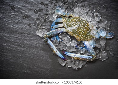 Seafood crab on ice / Fresh raw Blue Swimming Crab ocean gourmet with ice on dark background in the restaurant