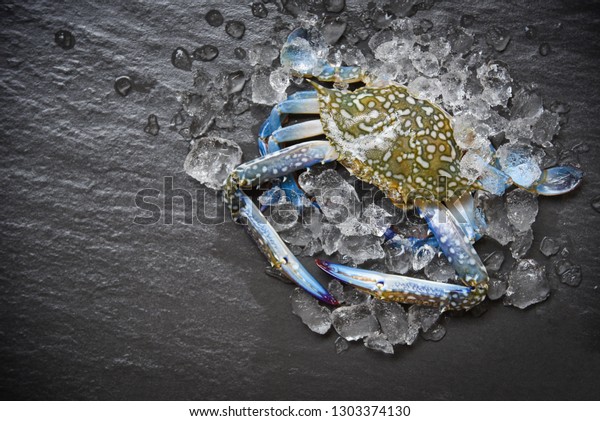 Seafood crab on ice\
/ Fresh raw Blue Swimming Crab ocean gourmet with ice on dark\
background in the\
restaurant