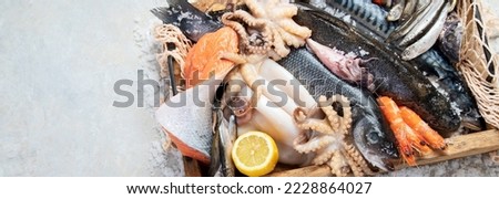 Seafood. Fresh fish, shrimp, oysters and octopus on a grey  background. Top view. Panorama with copy space.