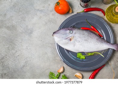 Seafood fish：A fresh one leatherjacket