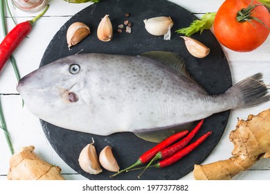 Seafood fish：A fresh one leatherjacket