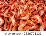 seafood. large tiger prawns on ice