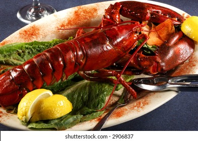 Seafood Lobster Dinner