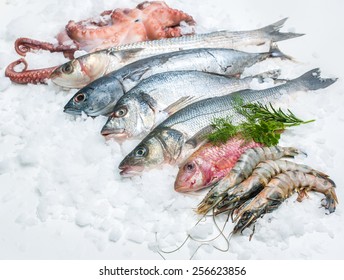 Seafood On Ice At The Fish Market