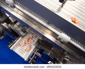 Seafood Processing Line Shrimp On Conveyor Stock Photo (Edit Now ...