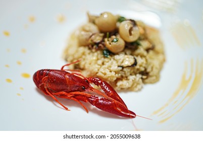 Seafood Risotto And Louisiana Crayfish.