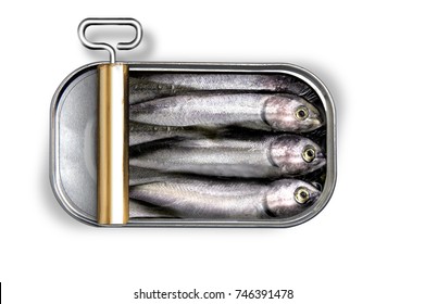seafood  Sardine fish CANNED FISH sea oil  metal HEALTHY DIET FOOD PICNIC  CONTAINER SARDINE SNACK BREAD SANDWICH PACKED OIL GROCERY 