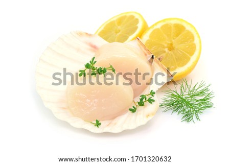 Seafood, scallops with shell and lemon, isolated.