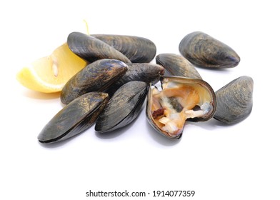 Seafood, Shellfish With Lemon On White Background, Isolated.