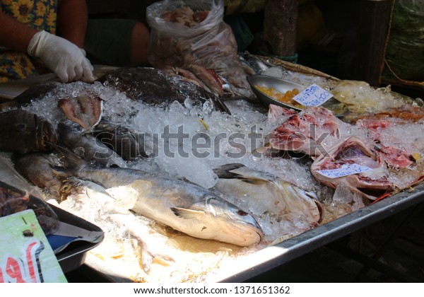 Seafood store Fresh fish with ice, making the fish\
look fresh With fish Divided into pieces for sale to customers with\
a price tag