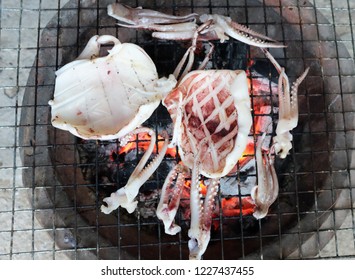 Seafood Thailand . Teuthida  On  Grilled Squid