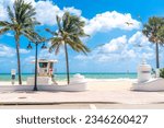 Seafront beach promenade with palm trees on a sunny day in Fort Lauderdale and seagulls