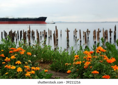 Seafront View Of Port Angeles, Washington