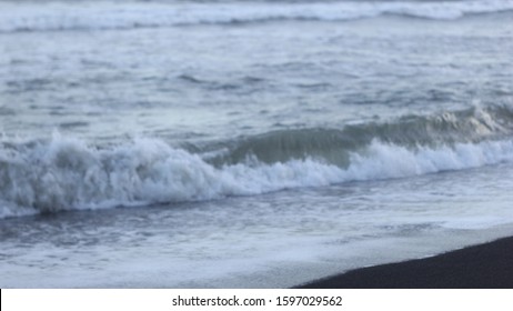 Seagrass Waves On The Beach