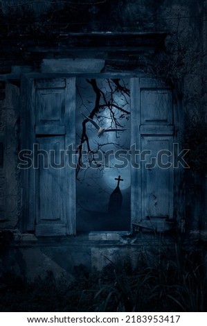 Seagull bird fly in old damaged wood window with wall over cross, church, birds, dead tree, full moon and spooky cloudy sky, Halloween mystery concept
