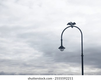 A seagull bird perched on a curved lamp post against a cloudy gloomy sky - Powered by Shutterstock