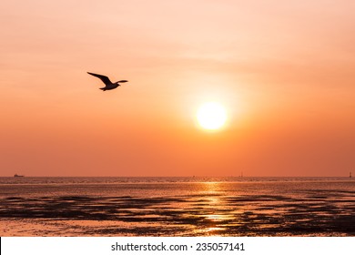  seagull birds flying in sunset over the sea - Powered by Shutterstock