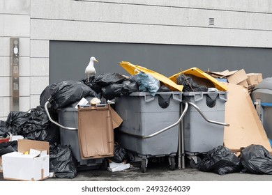 A seagull eats urban rubbish on top of rubbish bins filled by the strike. plastic waste pollution, dirty garbage pile. landfill, household waste, environment - Powered by Shutterstock