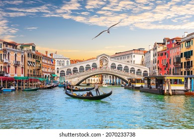 Seagull flies by the Rialto Bridge, a popular landmark of Venice, Italy