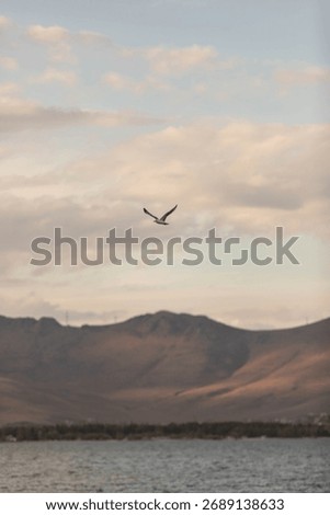 A seagull flies over Lake Sevan in Armenia, creating a tranquil nature scene