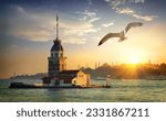 Seagull fliying near Maiden-s Tower in Istanbul at sunset, Turkey