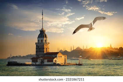 Seagull fliying near Maiden-s Tower in Istanbul at sunset, Turkey - Powered by Shutterstock