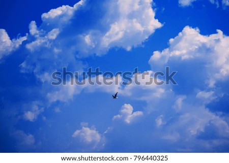 Similar – up Flying Clouds