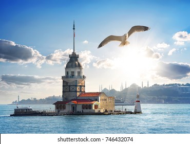 Seagull flying near Maiden's Tower in Istanbul at day, Turkey