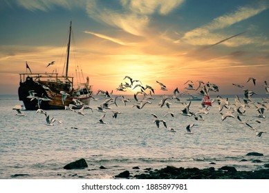 Seagull flying on beache and fisher boat on of Musandam Peninsula, Oman. - Powered by Shutterstock