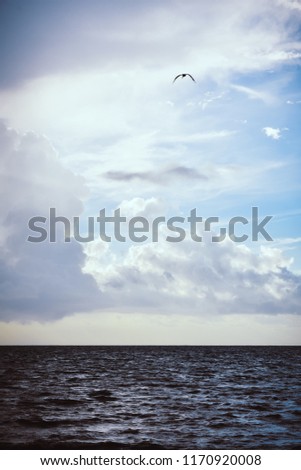 Similar – a woman looks at the sea. rear view, blurred