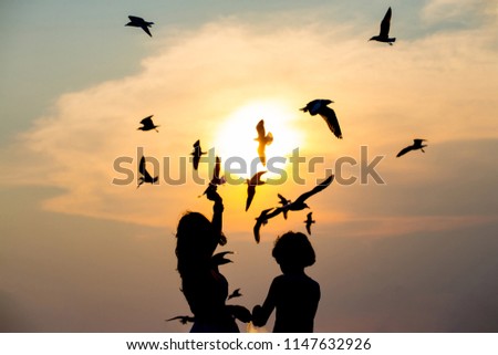 Seagull flying, Silhouettes happy / taking food from Two people hand on the seaside - Bang Poo Thailand during sunset.