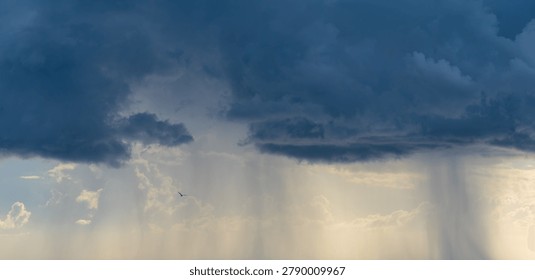 Seagull flying through a dramatic sunset sky with storm clouds and rain on the horizon, atmospheric weather scene with moody light.